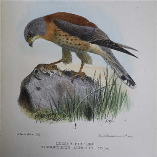 Balston Shepherd & Bartlett - Notes on the Birds of Kent, 1907